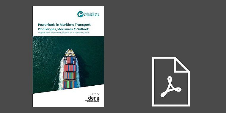 Powerfuels in Maritime Transport: Challenges, Measures & Outlook